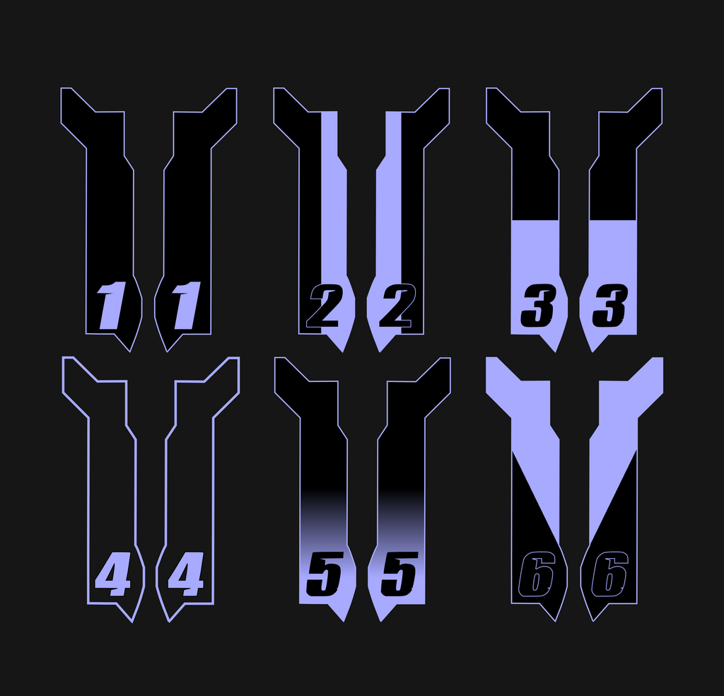 Custom Eride Pro Fork Guard Decals