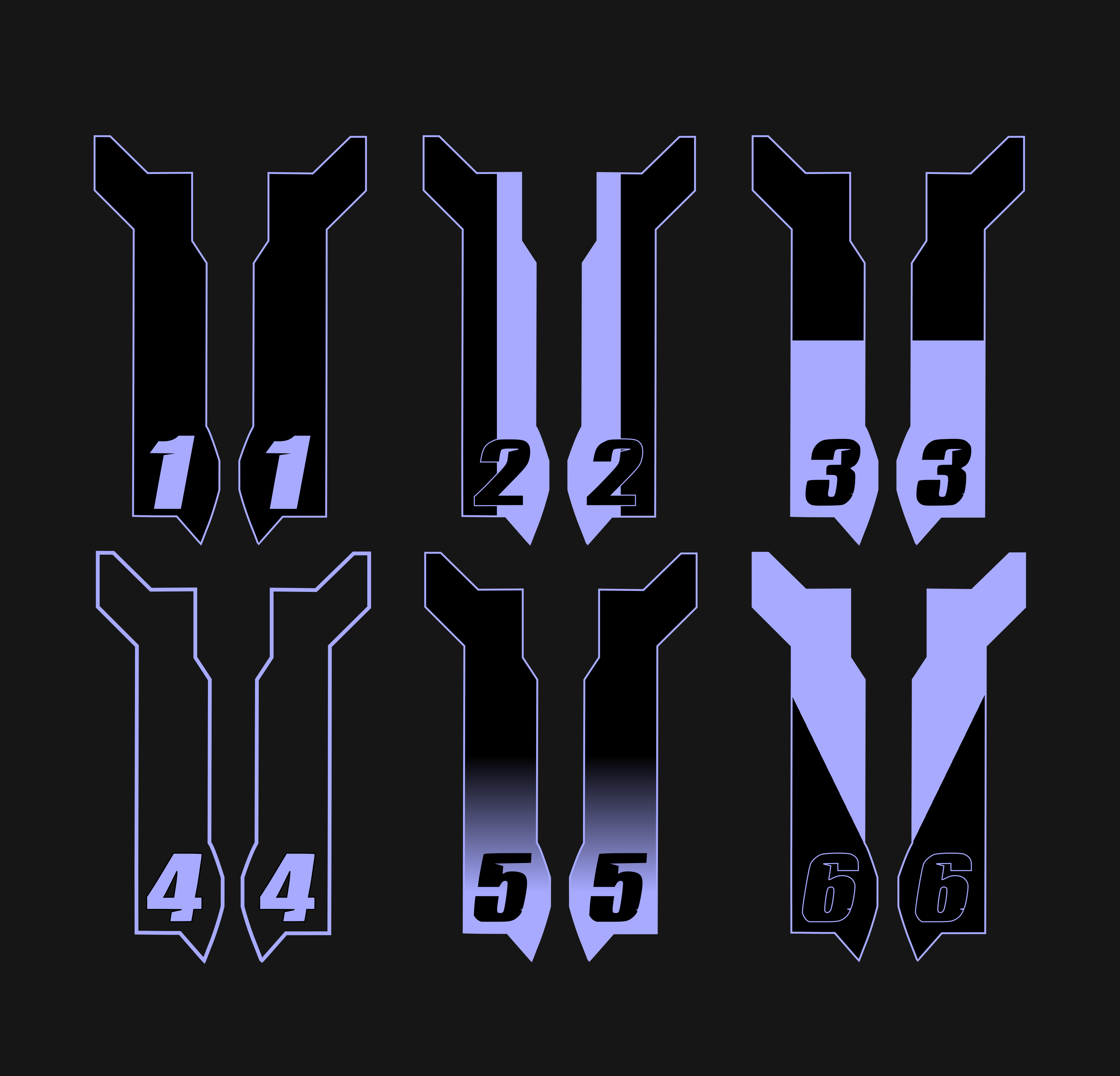 Custom Eride Pro Fork Guard Decals