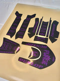 Eride Pro 2.0 & 3.0 Custom Decal Kit